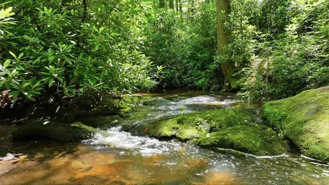 17 Wild River Road Cashiers NC 28717
