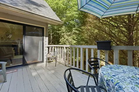 53 Chestnut Ridge Sapphire NC 28774