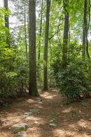 199 Staircase Falls Road Sapphire NC 28774