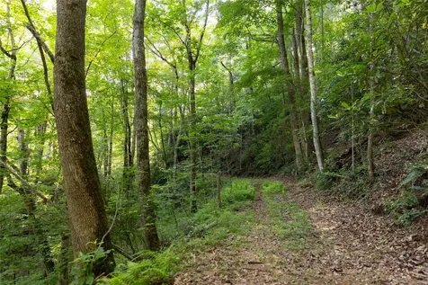 Tr 4 Robinson Creek Road Glenville NC 28736