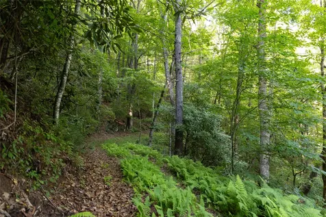 Tr 4 Robinson Creek Road Glenville NC 28736