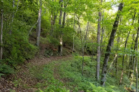Tr 4 Robinson Creek Road Glenville NC 28736