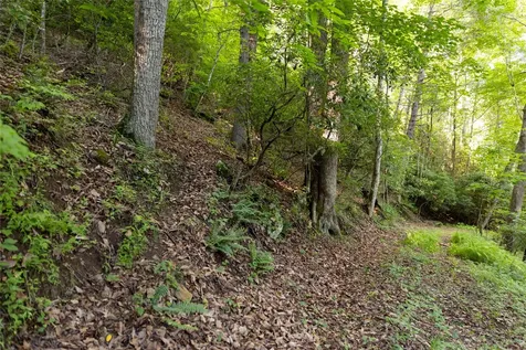 Tr 4 Robinson Creek Road Glenville NC 28736
