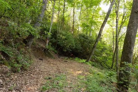 Tr 4 Robinson Creek Road Glenville NC 28736