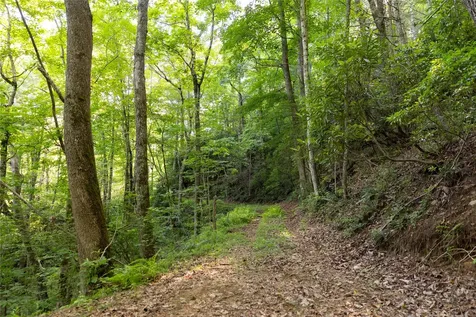Tr 4 Robinson Creek Road Glenville NC 28736