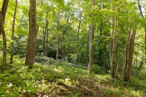 Tr 4 Robinson Creek Road Glenville NC 28736