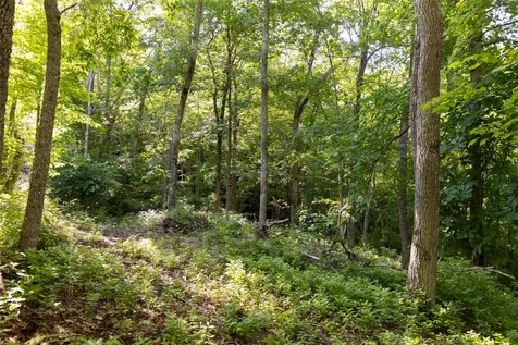 Tr 4 Robinson Creek Road Glenville NC 28736