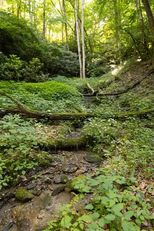 Tr 4 Robinson Creek Road Glenville NC 28736
