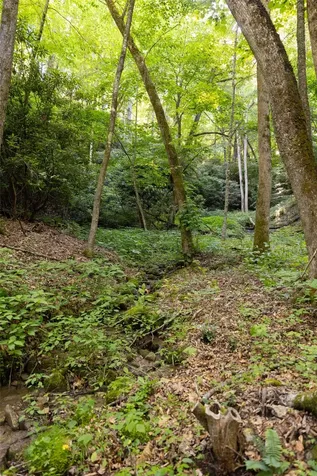Tr 4 Robinson Creek Road Glenville NC 28736