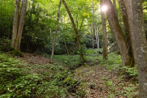 Tr 4 Robinson Creek Road Glenville NC 28736