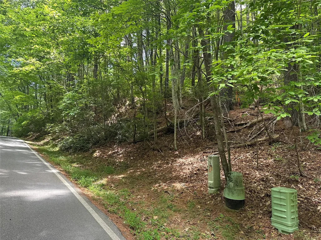 113 W Christy Trail Sapphire NC 28774
