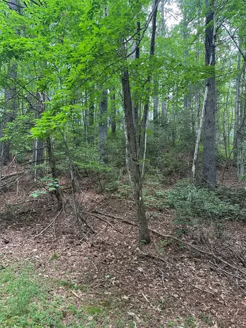 113 W Christy Trail Sapphire NC 28774
