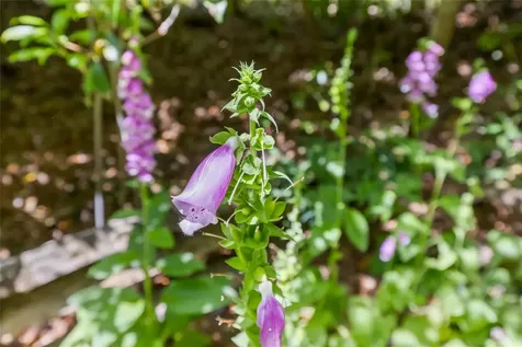 221 Hideaway Trail Highlands NC 28741