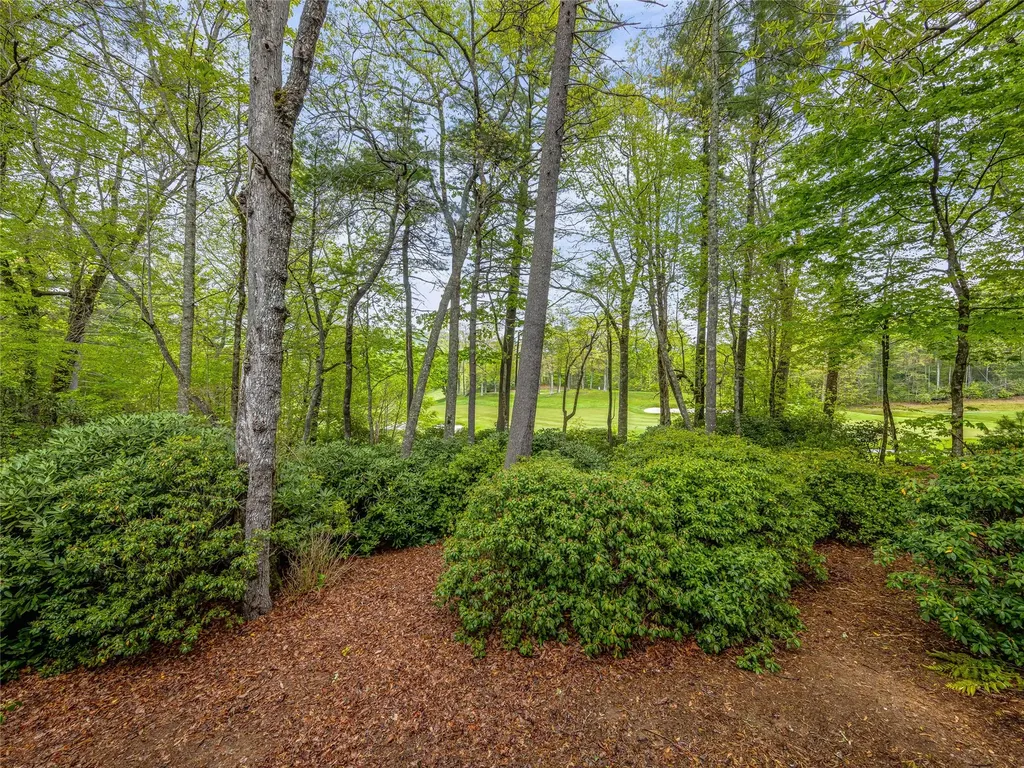 250 Fairway Drive Lake Toxaway NC 28747