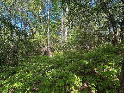 Rr 17 Lakeside Drive Lake Toxaway NC 28747