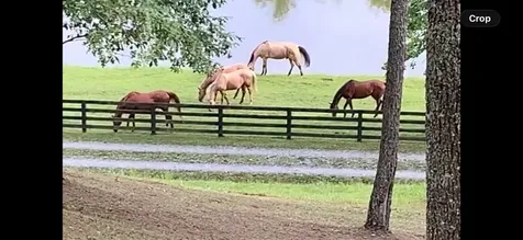 1356 Blue Valley Road Highlands NC 28741