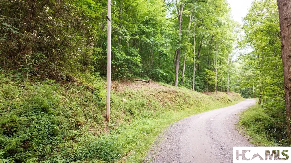 27 Cullowhee Forest Road Cullowhee NC 28723