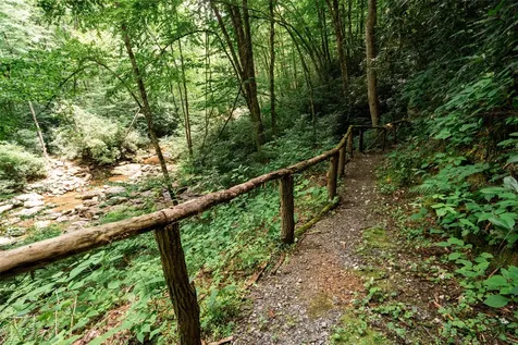 27 Cullowhee Forest Road Cullowhee NC 28723