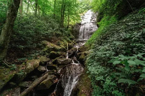 27 Cullowhee Forest Road Cullowhee NC 28723