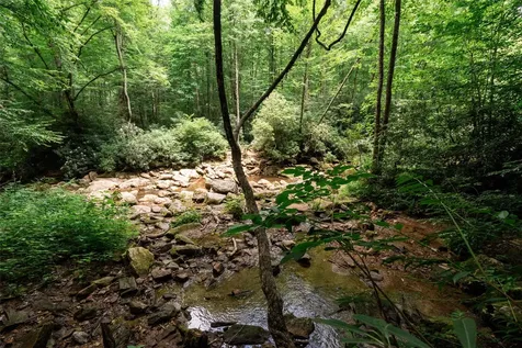 27 Cullowhee Forest Road Cullowhee NC 28723