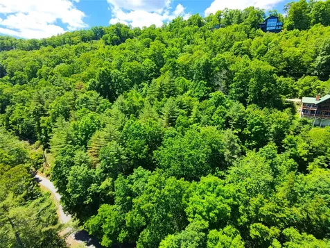 34 Wild Blackberry Ridge Cullowhee NC 28723