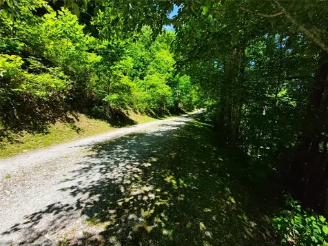 34 Wild Blackberry Ridge Cullowhee NC 28723