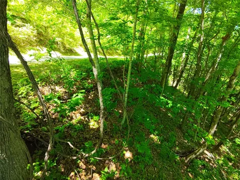 34 Wild Blackberry Ridge Cullowhee NC 28723