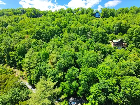 34 Wild Blackberry Ridge Cullowhee NC 28723
