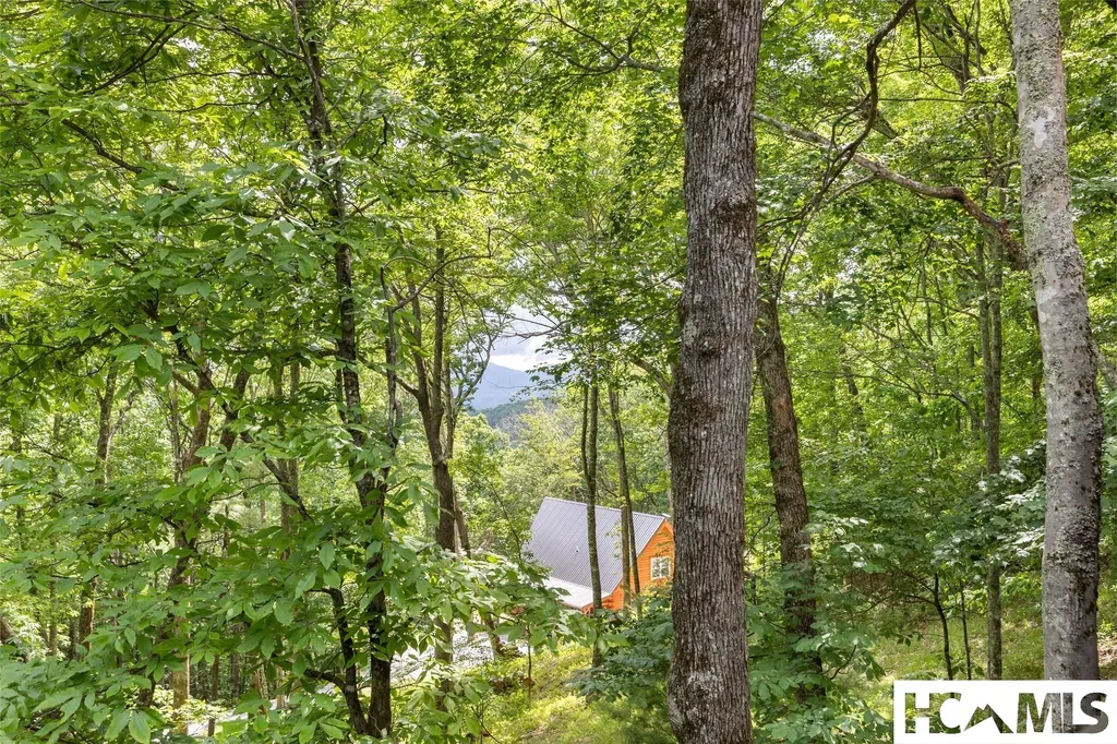1542 Shirley Pressley Road Glenville NC 28736