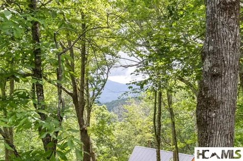 1542 Shirley Pressley Road Glenville NC 28736