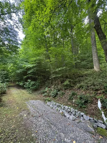 12 N Captiva Mountain Drive Cullowhee NC 28723