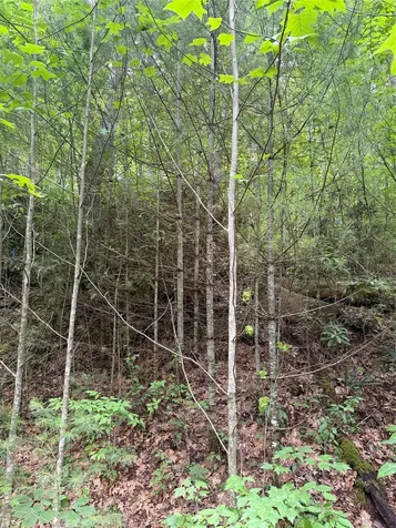 12 N Captiva Mountain Drive Cullowhee NC 28723