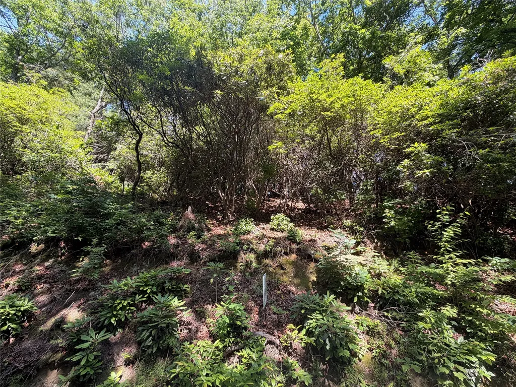 00 Old Bear Ridge Road Scaly Mountain NC 28775
