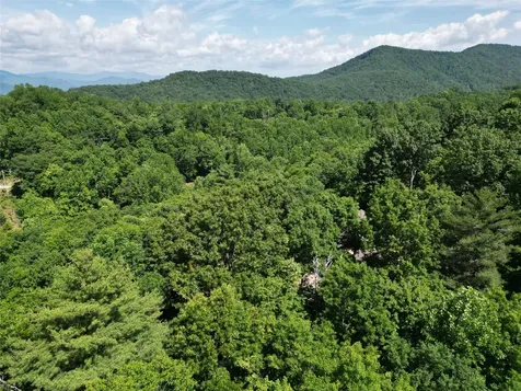 00 Old Bear Ridge Road Scaly Mountain NC 28775