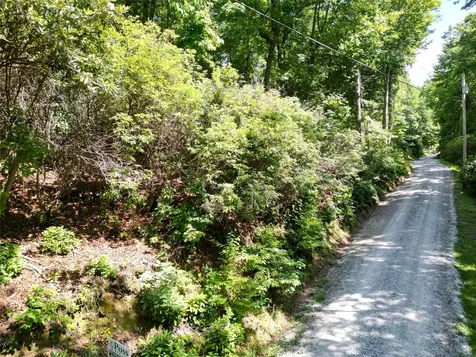 00 Old Bear Ridge Road Scaly Mountain NC 28775