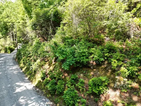 00 Old Bear Ridge Road Scaly Mountain NC 28775