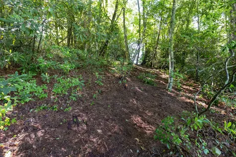 Lot 6 Hidden Lane Sapphire NC 28774