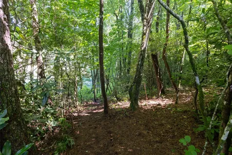 Lot 6 Hidden Lane Sapphire NC 28774