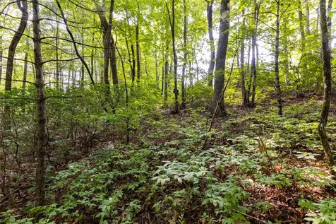 11ER Beaver Dam Road Sapphire NC 28774