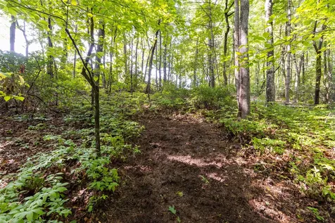 11ER Beaver Dam Road Sapphire NC 28774