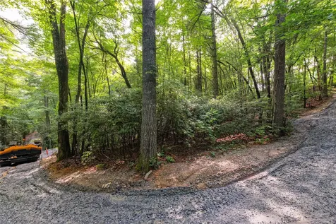 11ER Beaver Dam Road Sapphire NC 28774