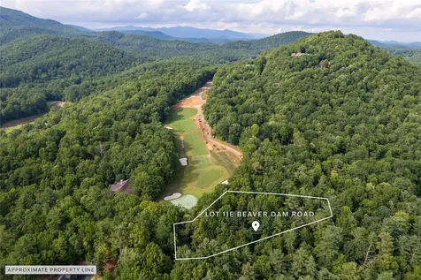 11ER Beaver Dam Road Sapphire NC 28774