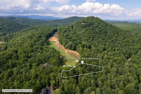 11ER Beaver Dam Road Sapphire NC 28774