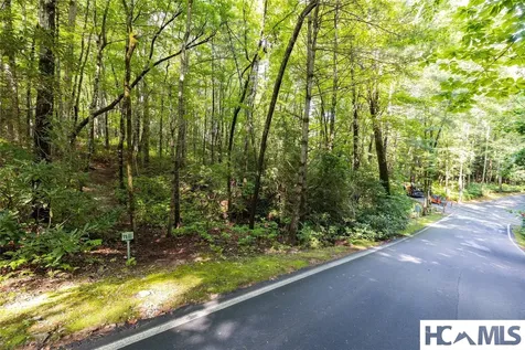 11ER Beaver Dam Road Sapphire NC 28774