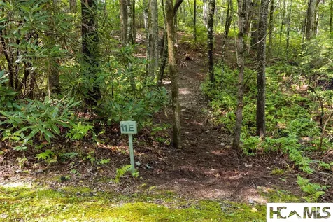 11ER Beaver Dam Road Sapphire NC 28774