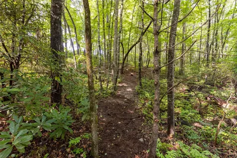 11ER Beaver Dam Road Sapphire NC 28774