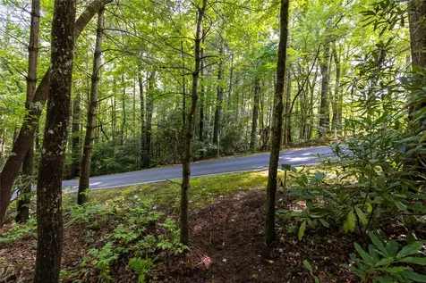 11ER Beaver Dam Road Sapphire NC 28774