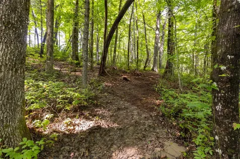 11ER Beaver Dam Road Sapphire NC 28774