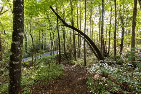 11ER Beaver Dam Road Sapphire NC 28774