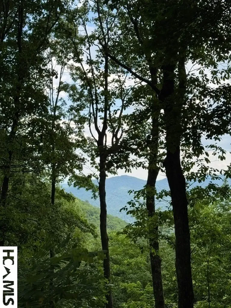 Lt 2 Tower Road Sapphire NC 28774